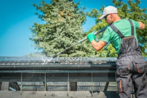 Professional maintaining roof