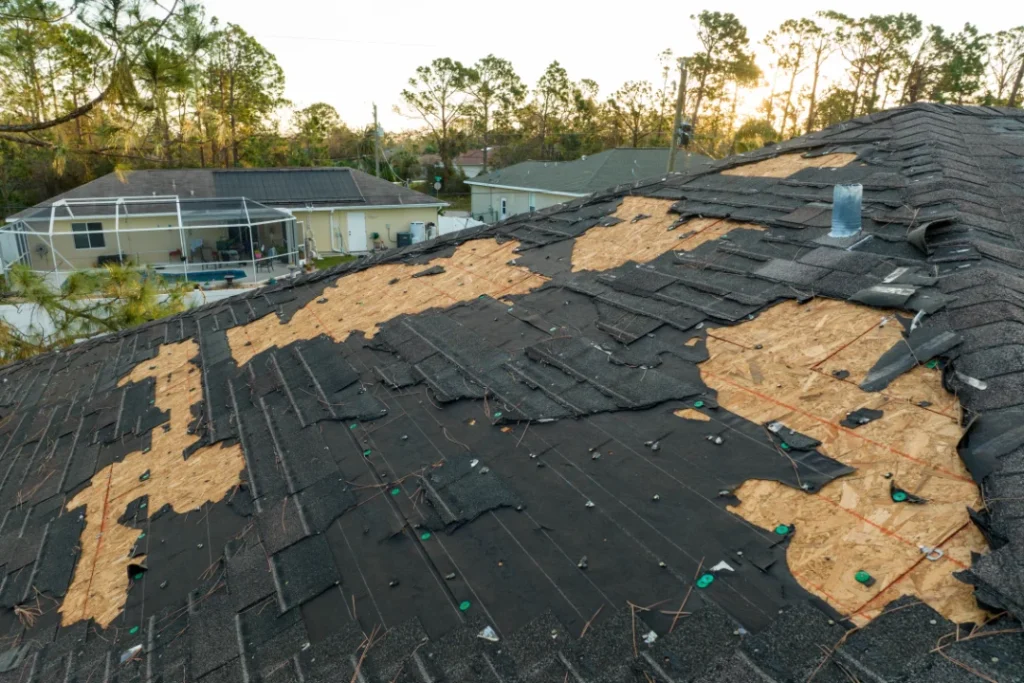 Maintaining Your New Roof