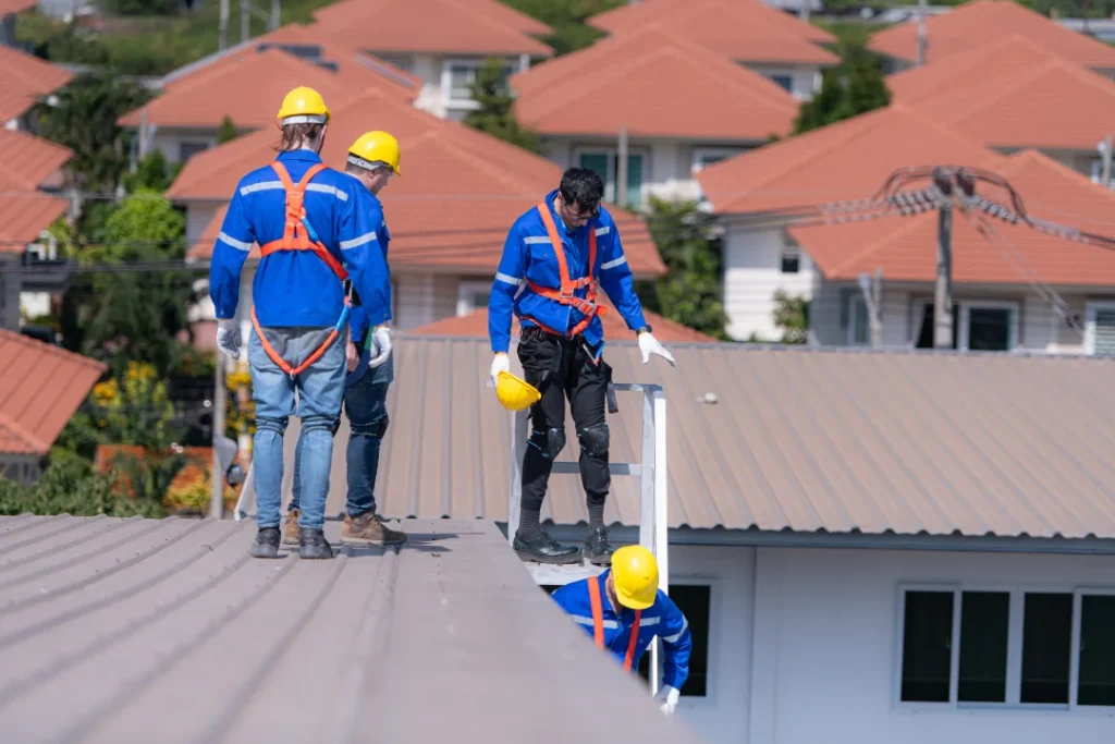 Seasonal Roof Check-Ups