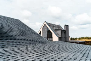 Expertise in Black Shingle Installation