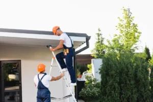 Professional Inspection and Maintenance of Gutters